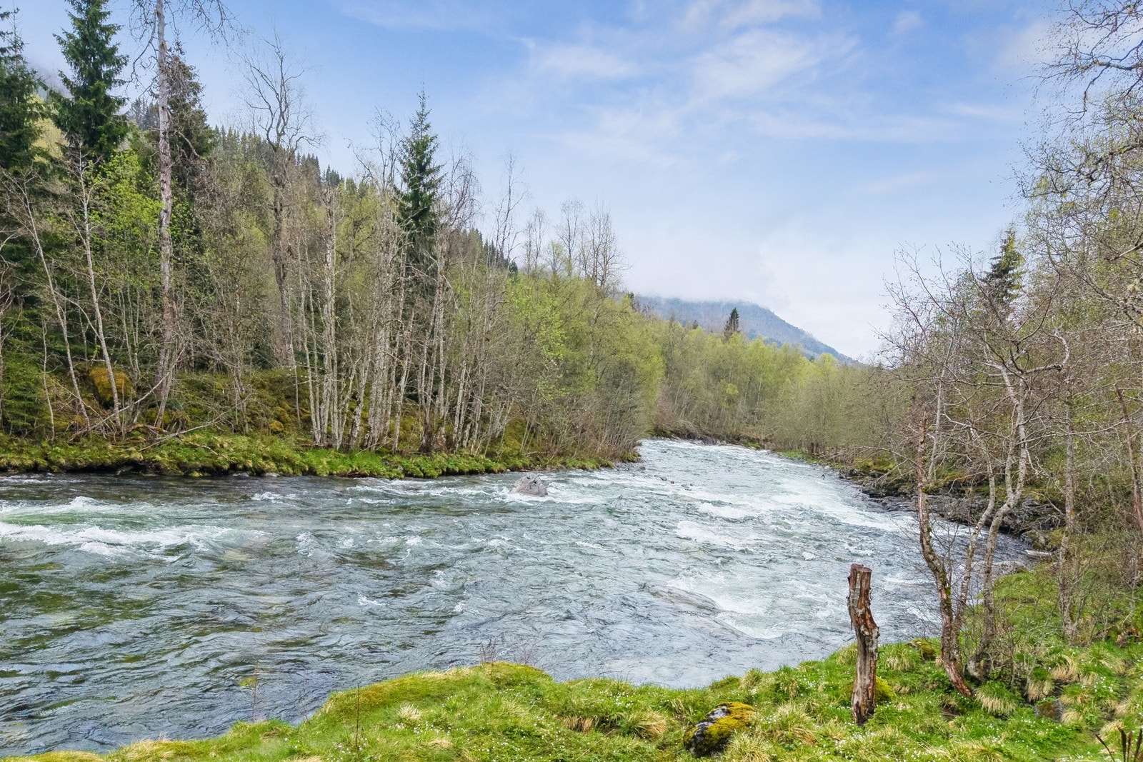 Her kan du fiske etter laks i den populære Strandaelva etter du har kjøpt fiskekort. Galleribilde