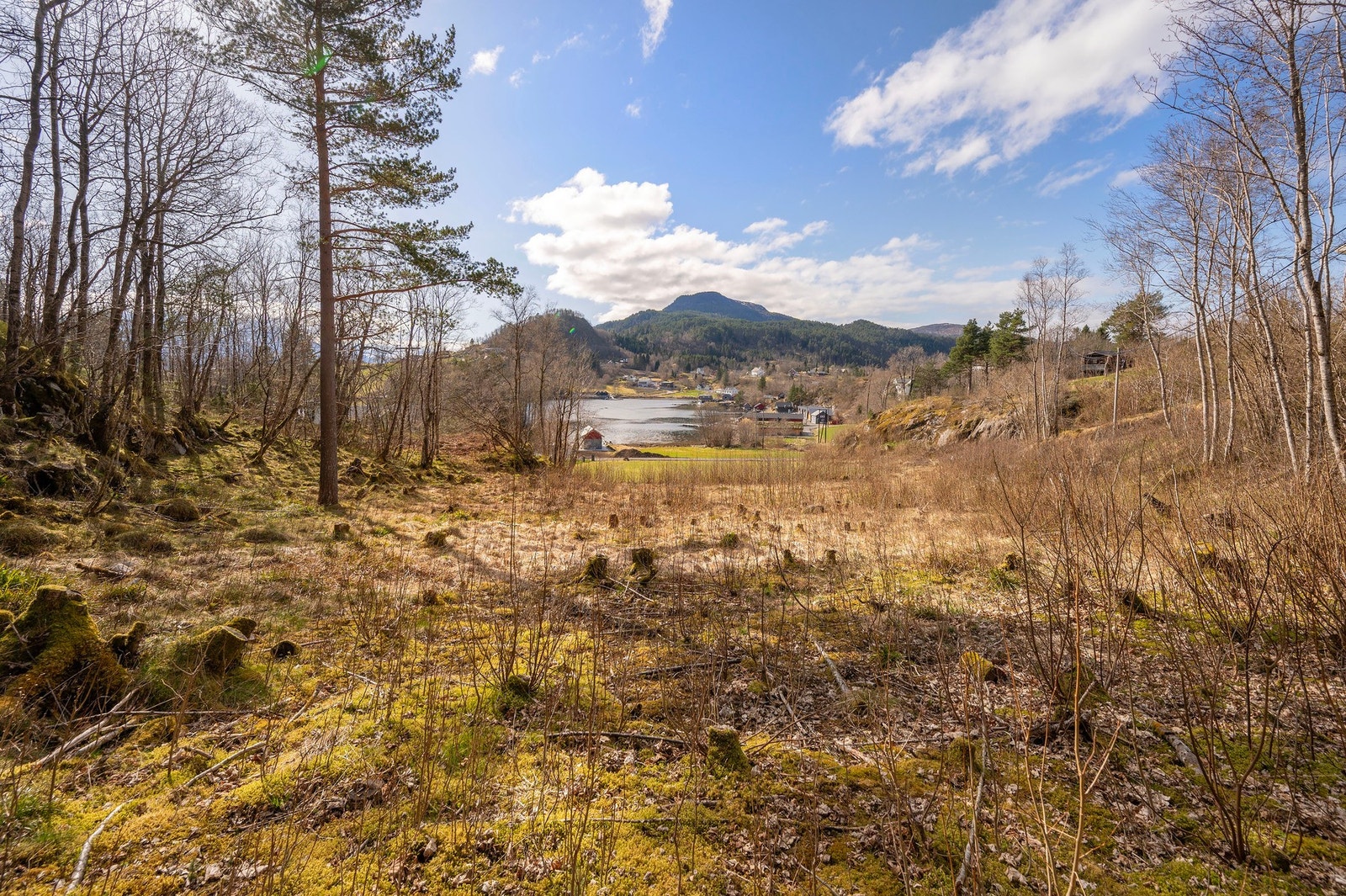 Kort kjøreavstand til bla. Valle og Emblem, samt Ålesund, Skodje og Sjøholt. Galleribilde