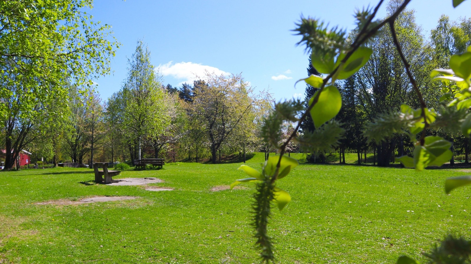 Åpne grøntområder rett utenfor Galleribilde