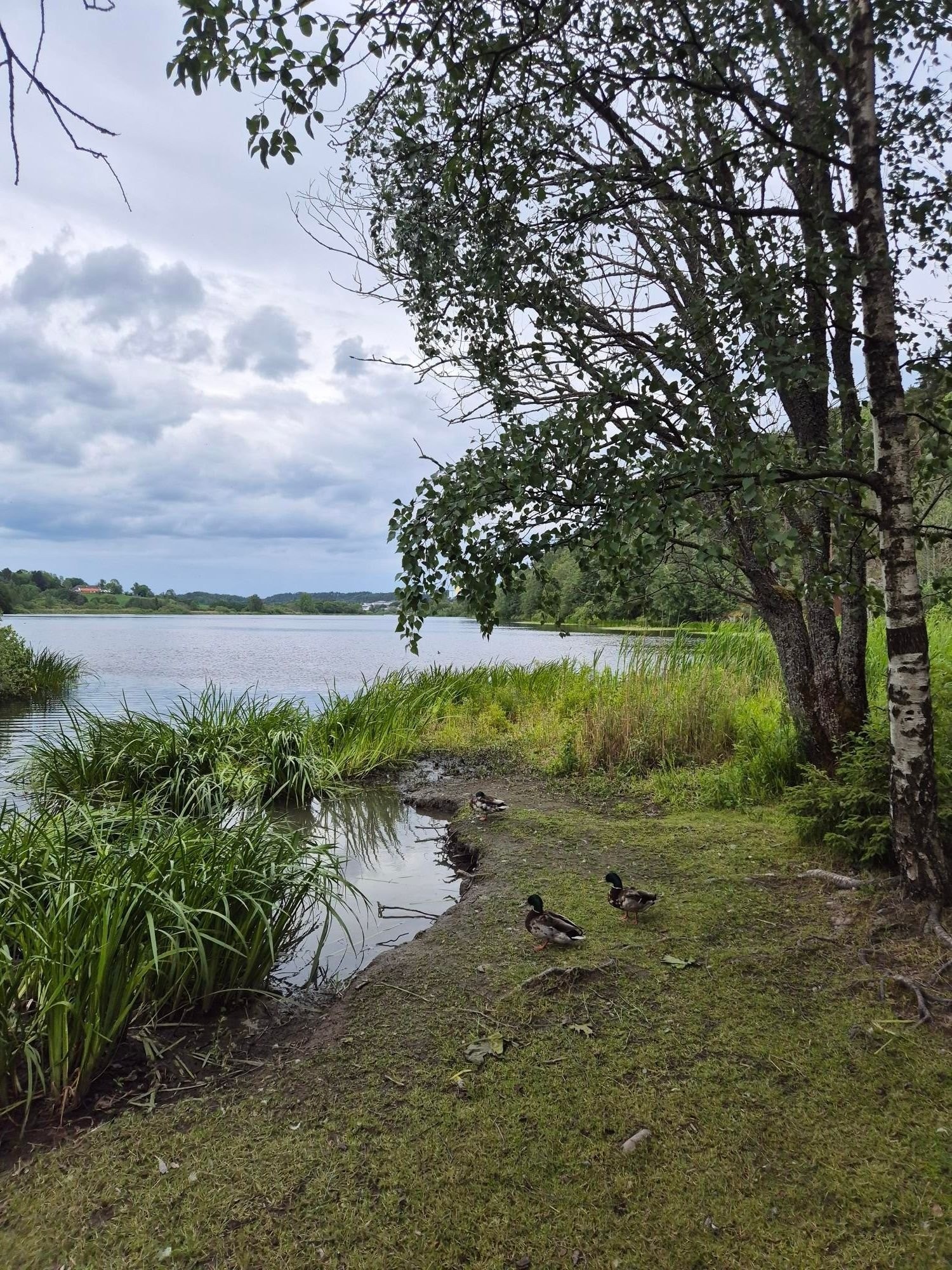 Gode turmuligheter med Østensjøvannet og Østmarka rett i nærheten! Galleribilde