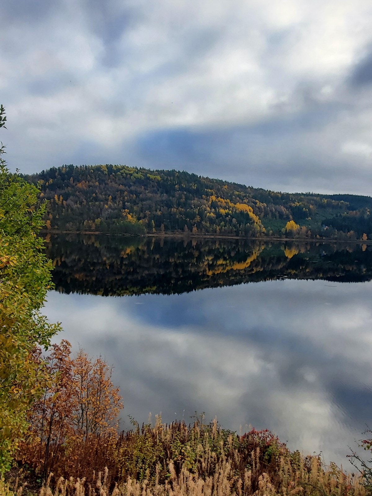 3460187_2-a.jpg Galleribilde