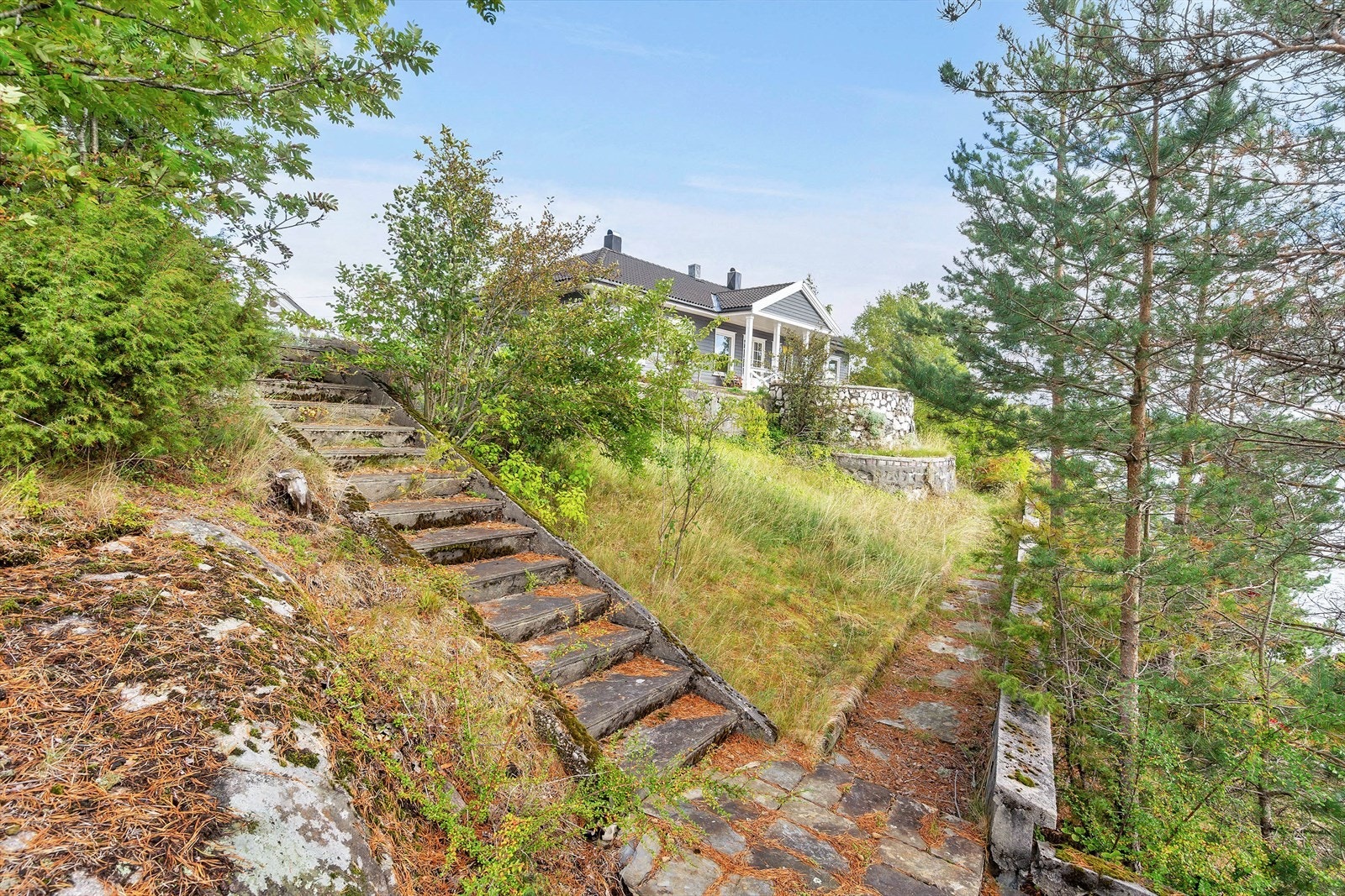 3458065_1-a.jpg Galleribilde