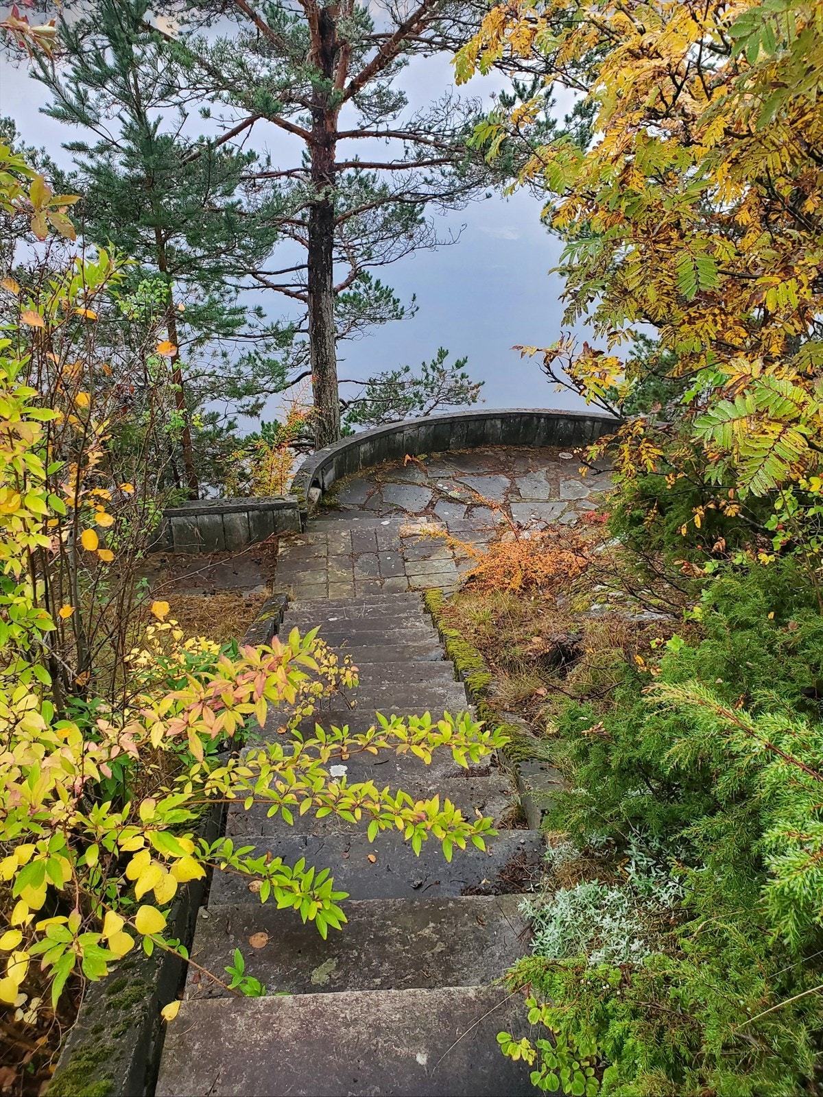 3460193_2-a.jpg Galleribilde