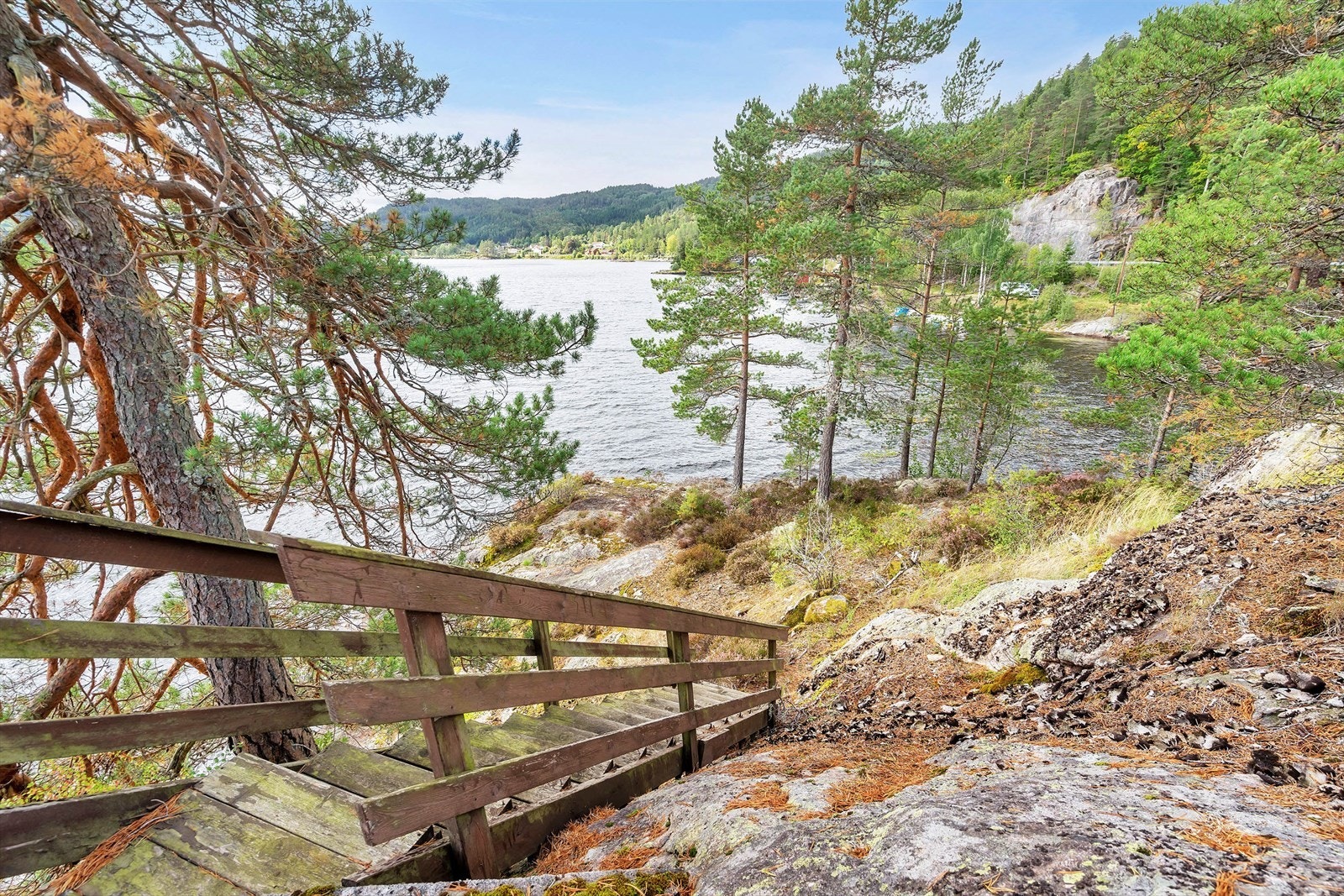 3458063_1-a.jpg Galleribilde