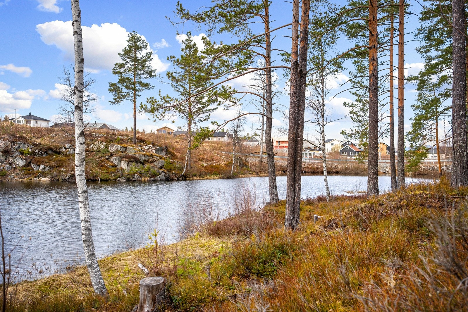 Utsyn fra terrase Galleribilde
