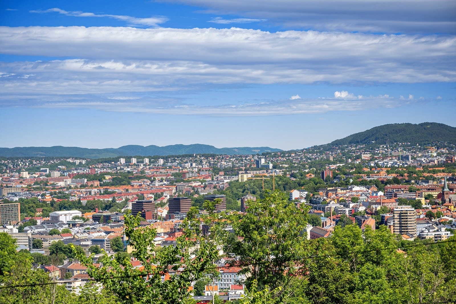 Fantastisk utsikt over Oslo by Galleribilde