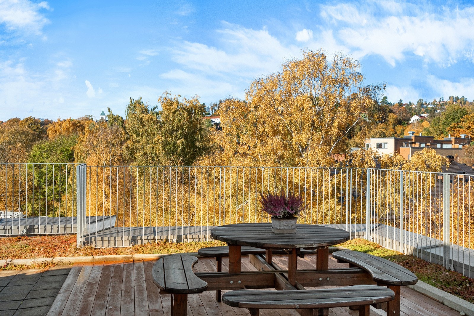 Felles takterrasse. Galleribilde