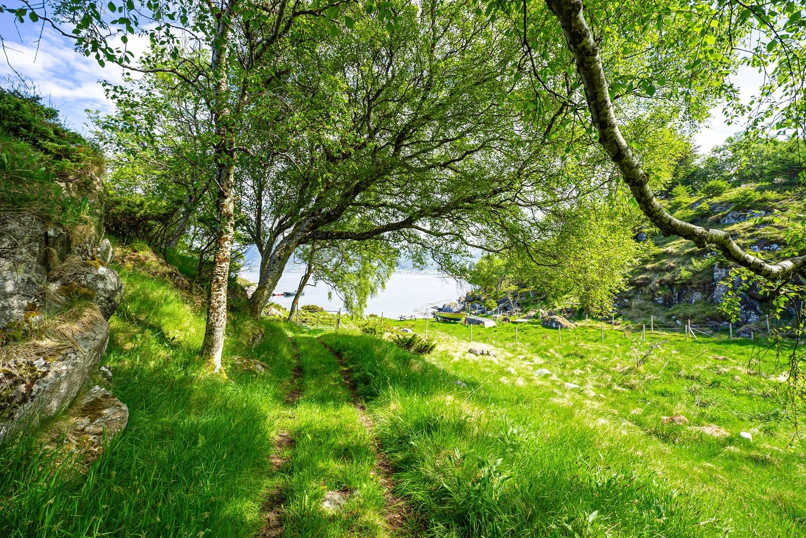 TurstiATV-veg mot sjøen. Galleribilde