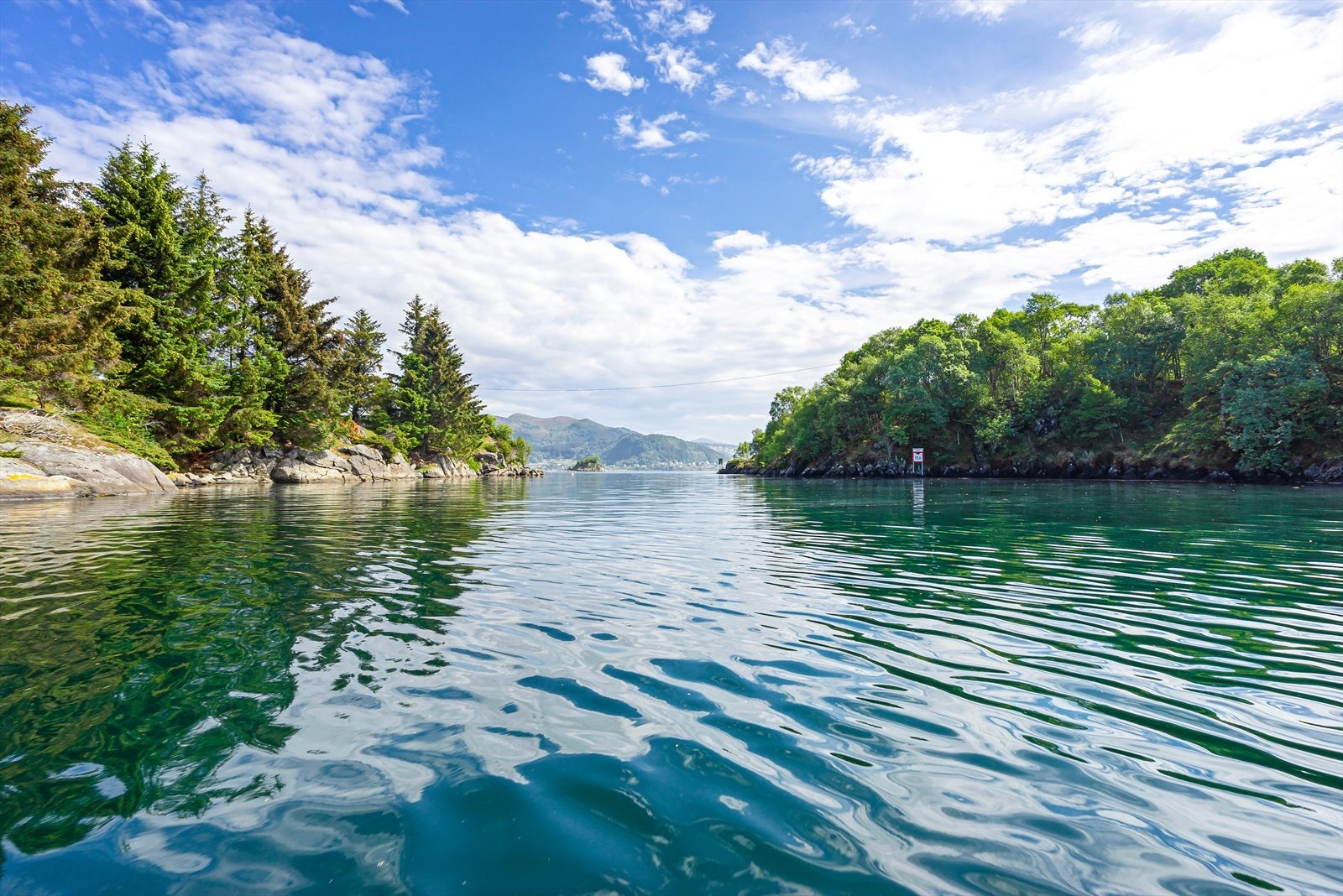 Vakre omgivelser. Galleribilde