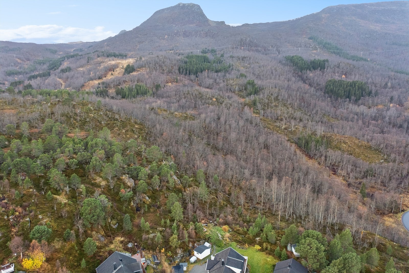 Her bor en bokstavelig talt med naturen i bakgården Galleribilde