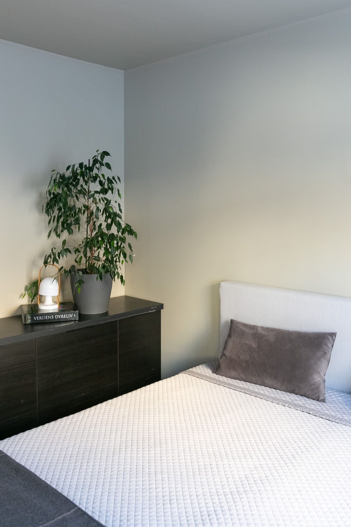 Detalj. Galleribilde