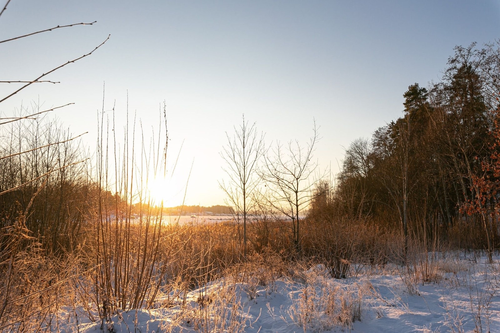 Nærområdet er svært innbydende for turer, bading og nærhet til naturen. Galleribilde