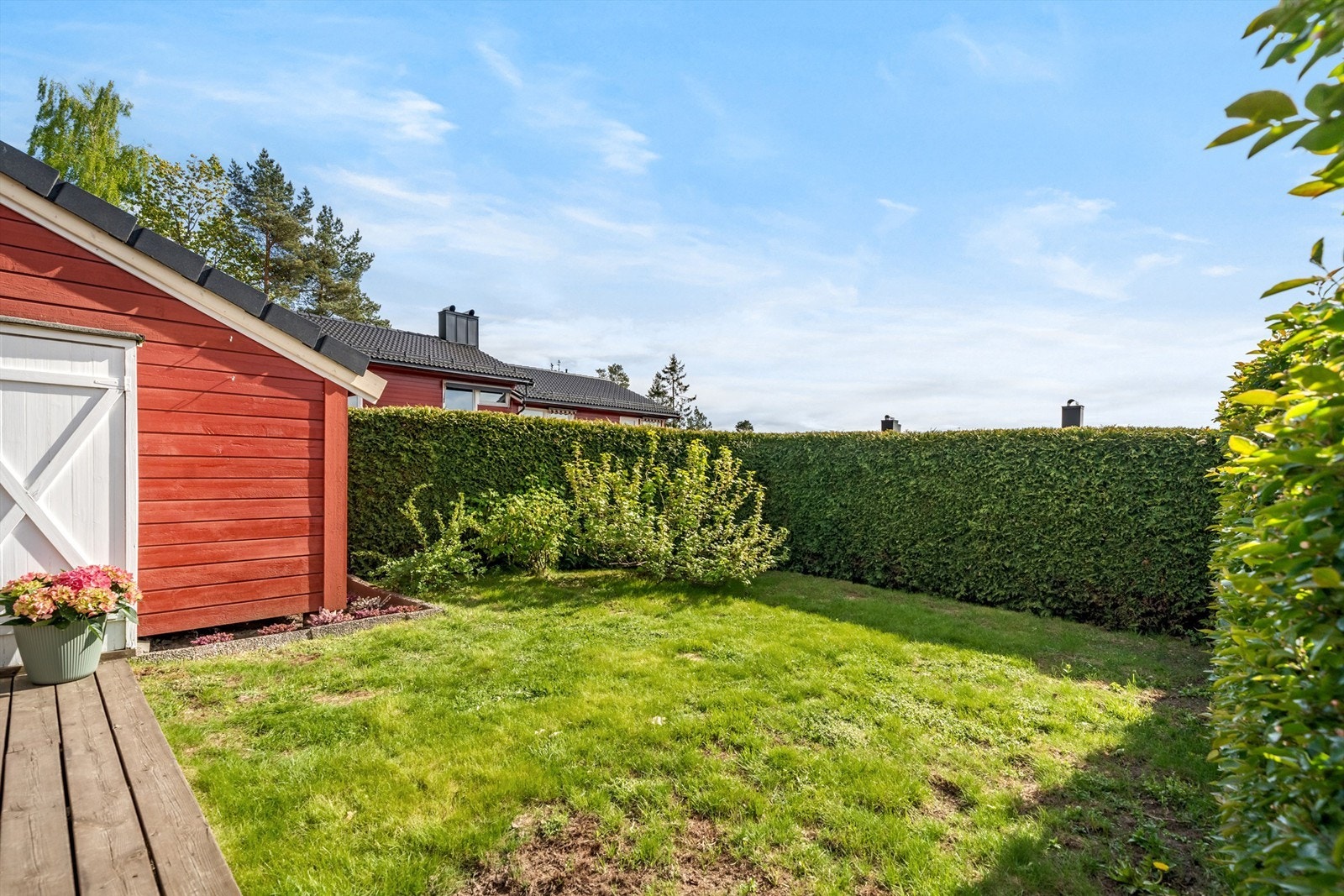 Trivelig hage med vintergrønn tujahekk Galleribilde