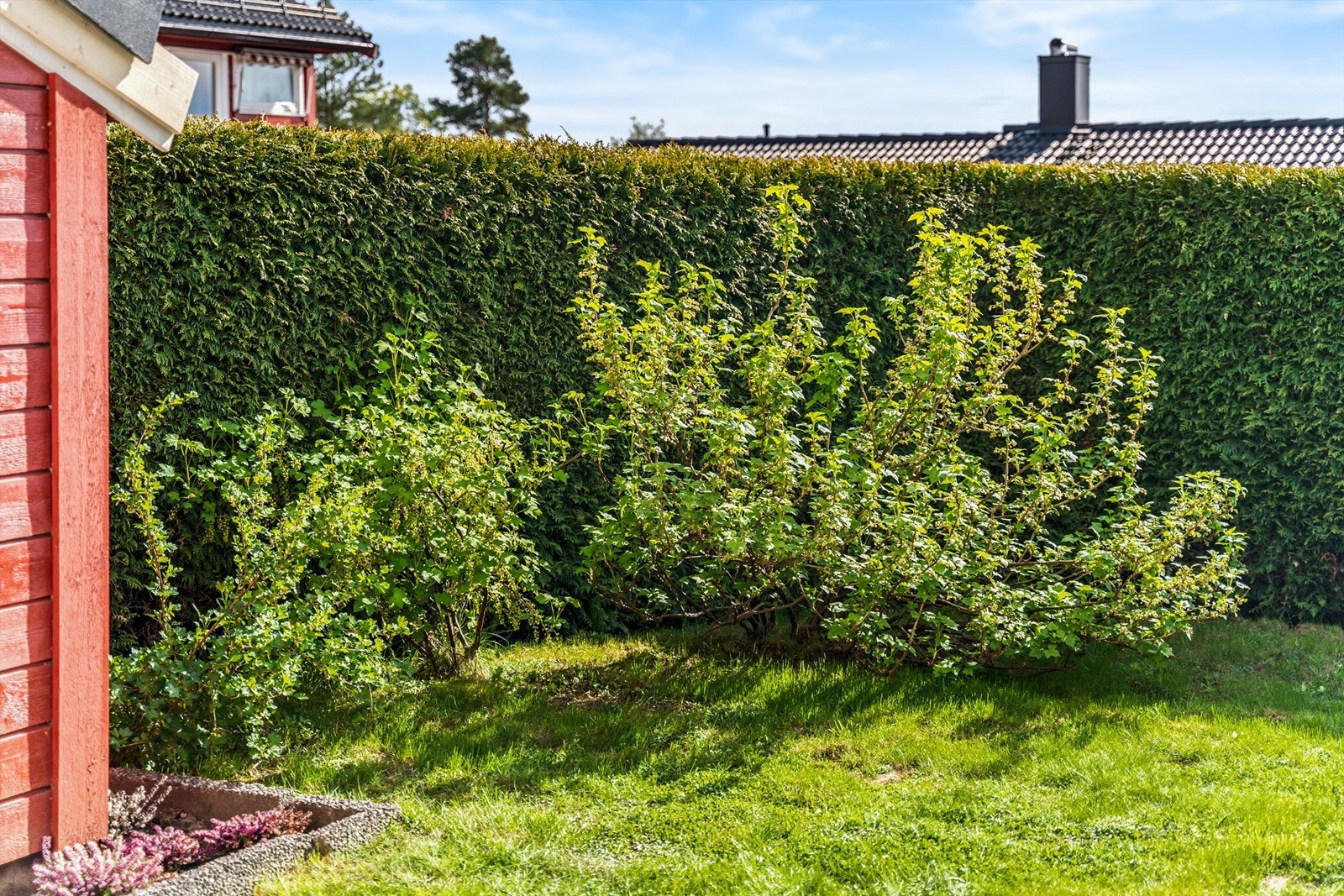 Beplantning Galleribilde