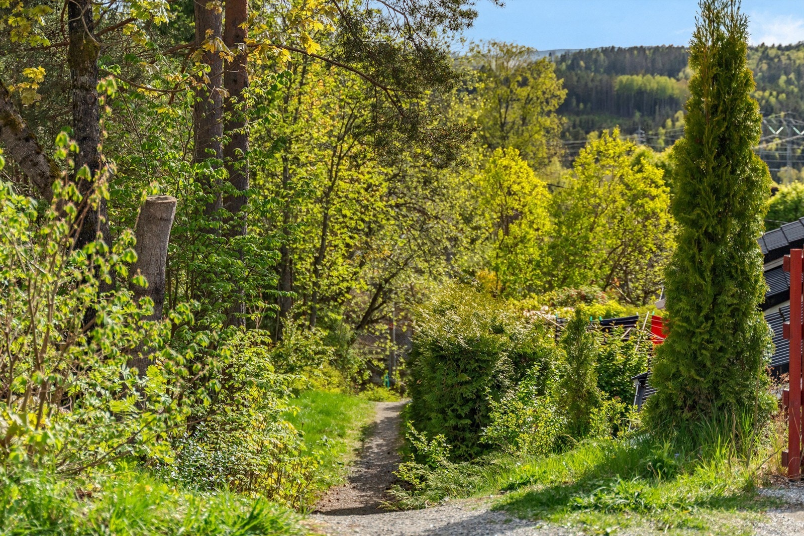Snarvei fra Trollveien til Tjernsliveien Galleribilde