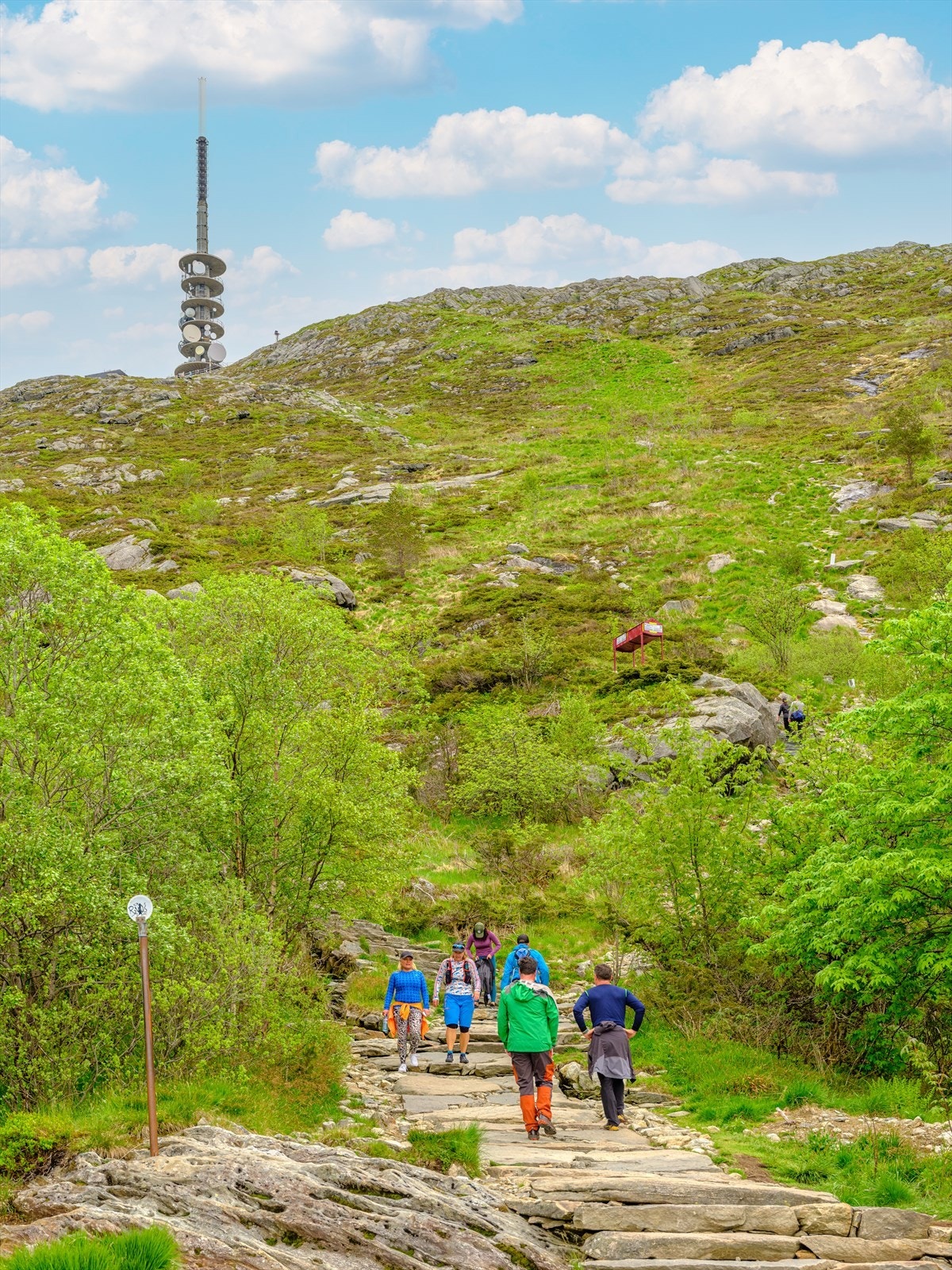 Med kort vei til foten av Ulriken har du et ypperlig utgangspunkt for turer i byfjellene. Galleribilde