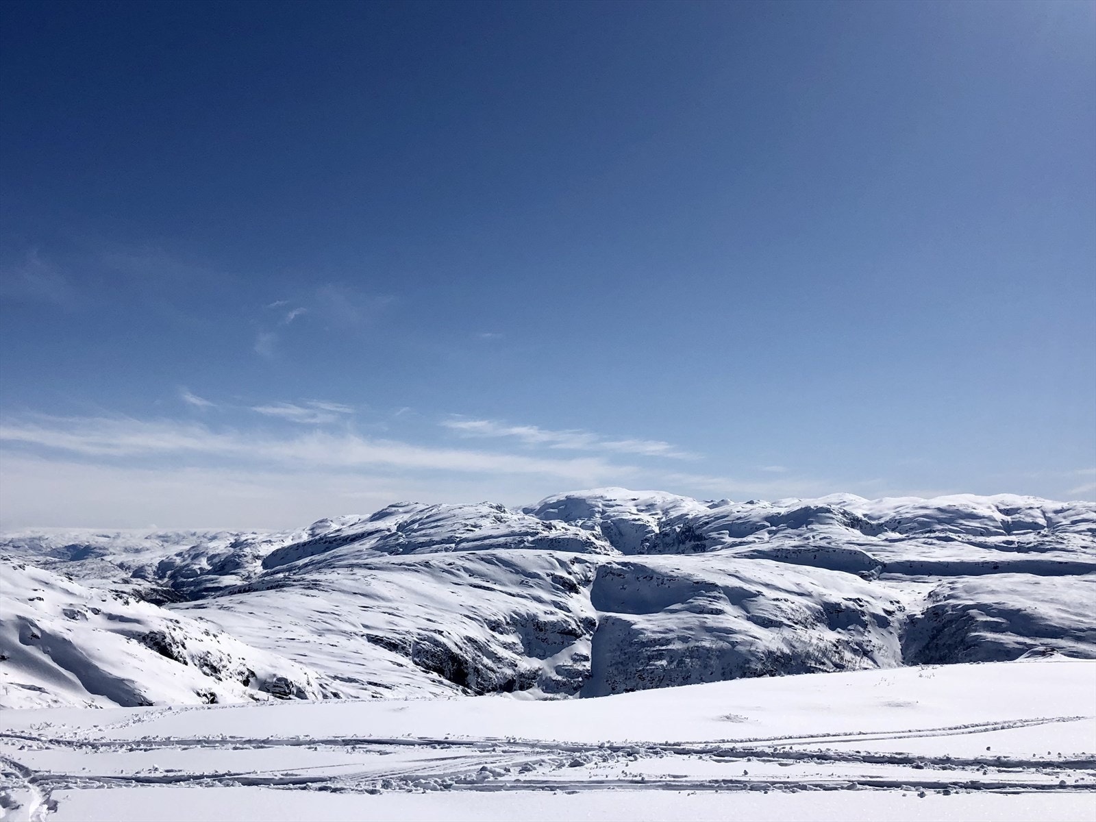 Nærområdet på en nydelig vinterdag Galleribilde