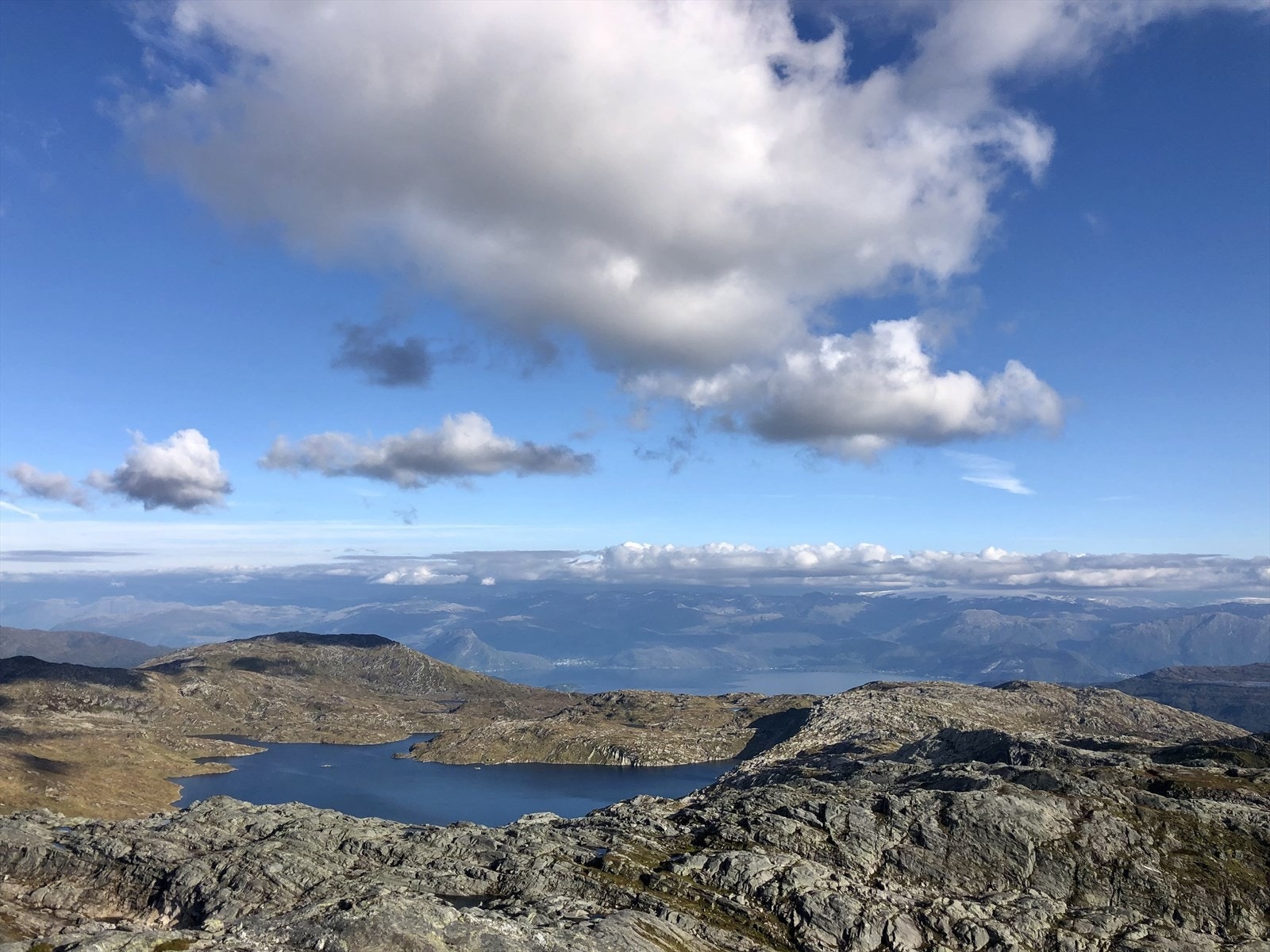 Nærområdet Galleribilde