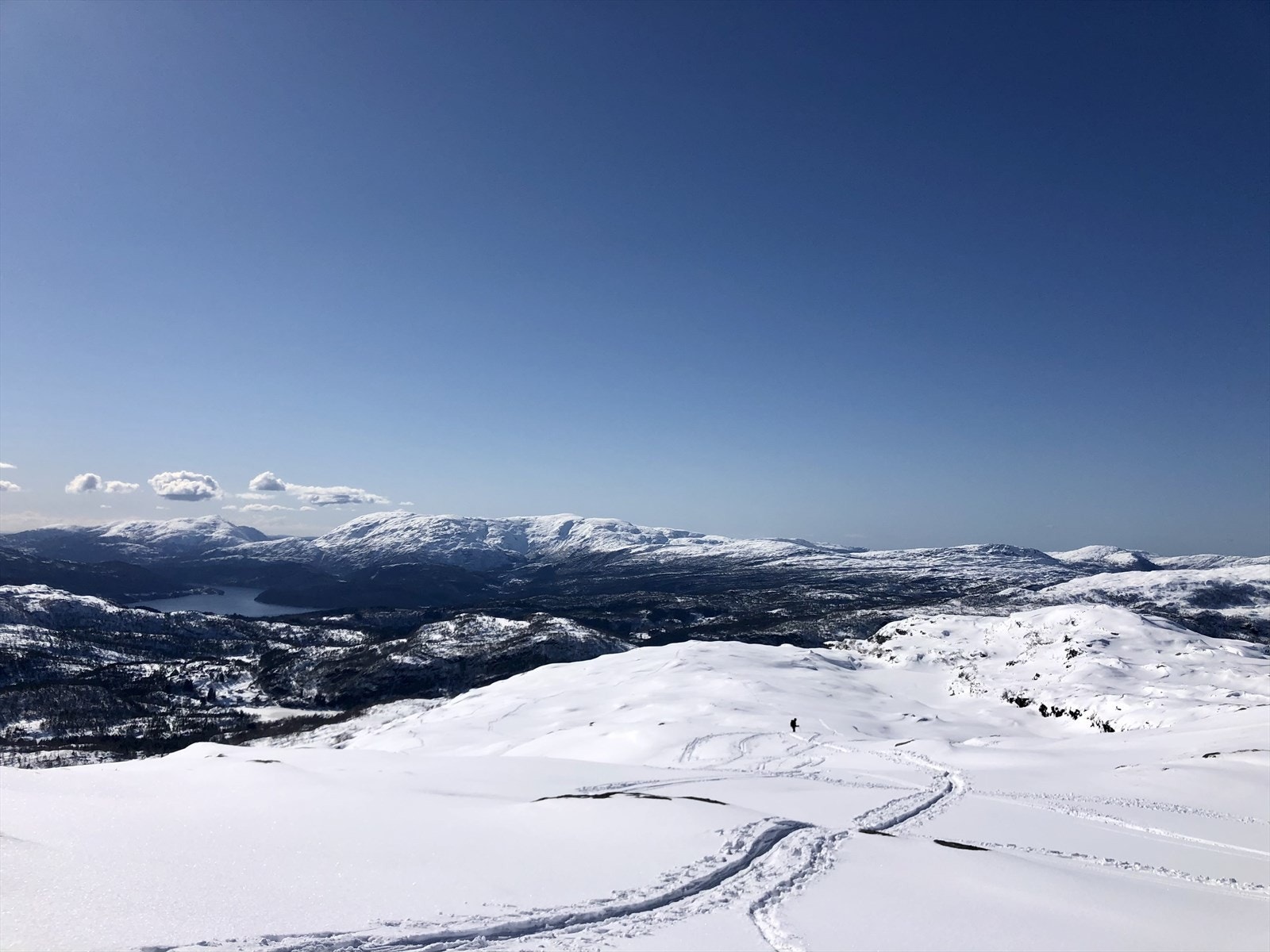 Nærområdet Galleribilde