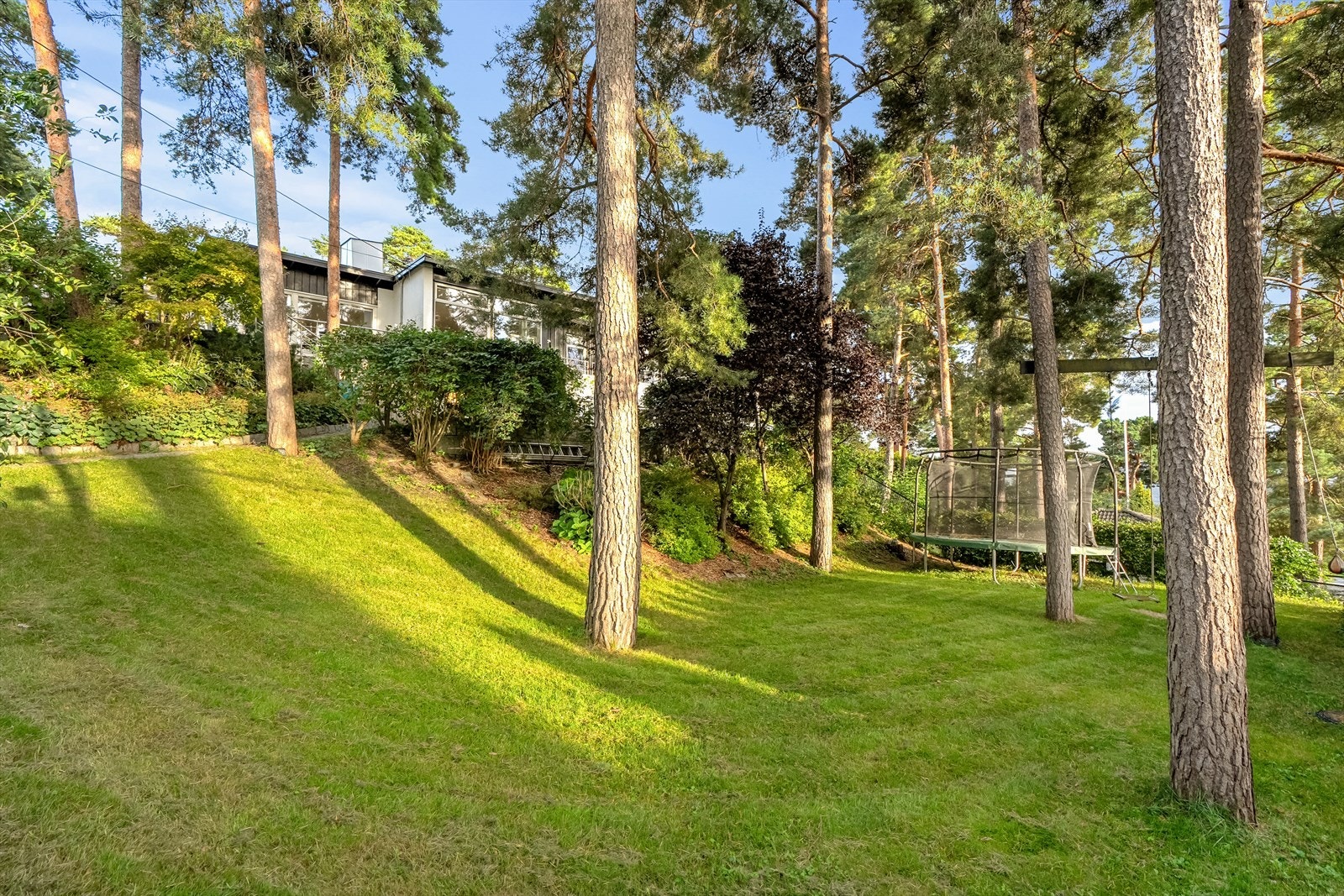 Stor tomt på hele 1185 m² Galleribilde