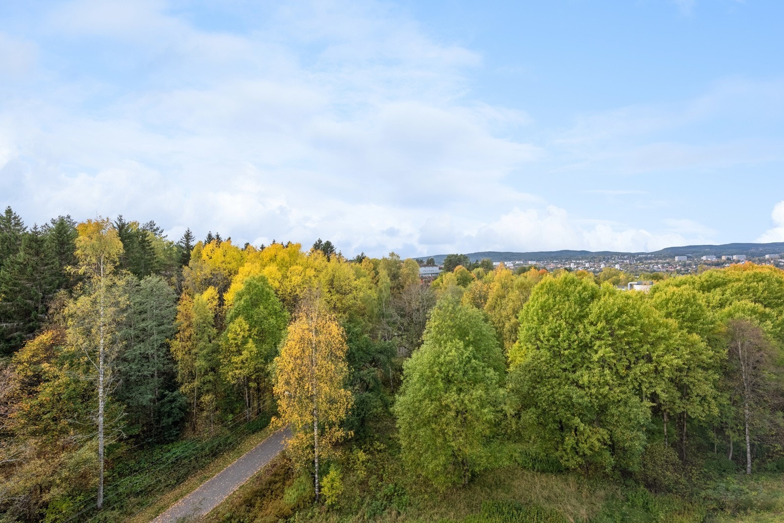 Når man er omringet av naturen. Galleribilde