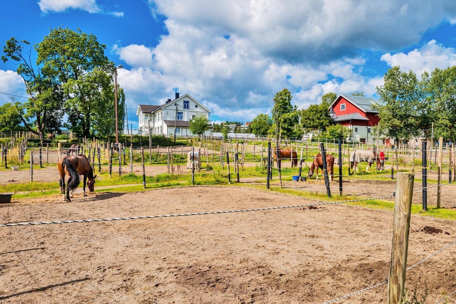 Ellingsrud gård Galleribilde