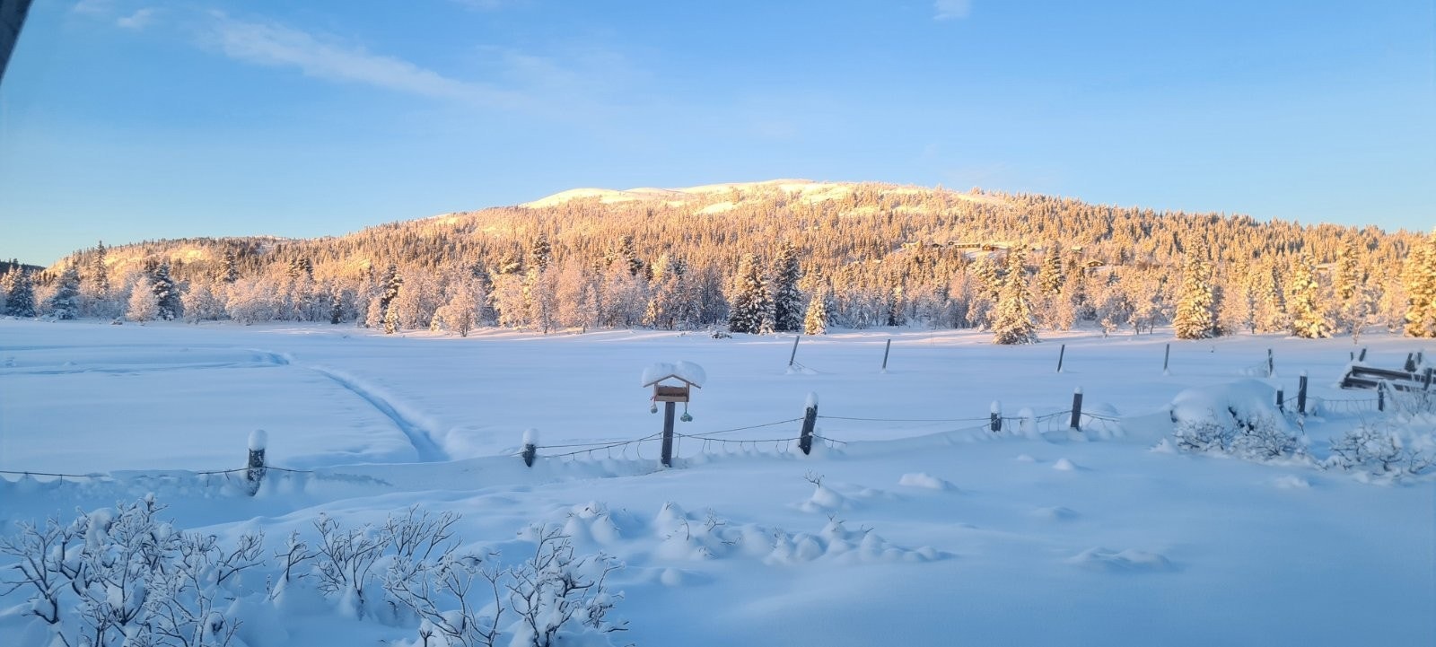 Utsikten fra stuevinduet. Galleribilde