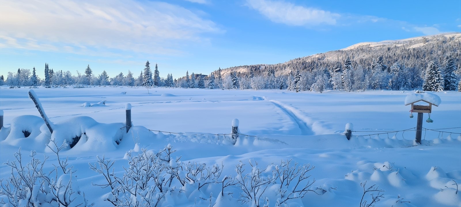 I umiddelbar nærhet finner du flotte turområder både på sommer- og vinterstid. Galleribilde