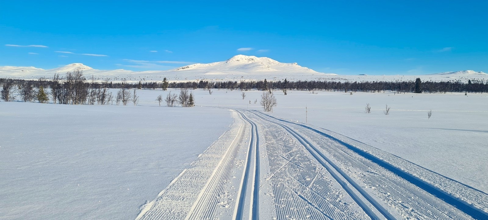 Fra hyttene er det få meter til flotte, oppkjørte skiløyper. Herfra er det milevis av preparerte skiløyper av høy kvalitet, tilknyttet et bredt løypenett. Galleribilde