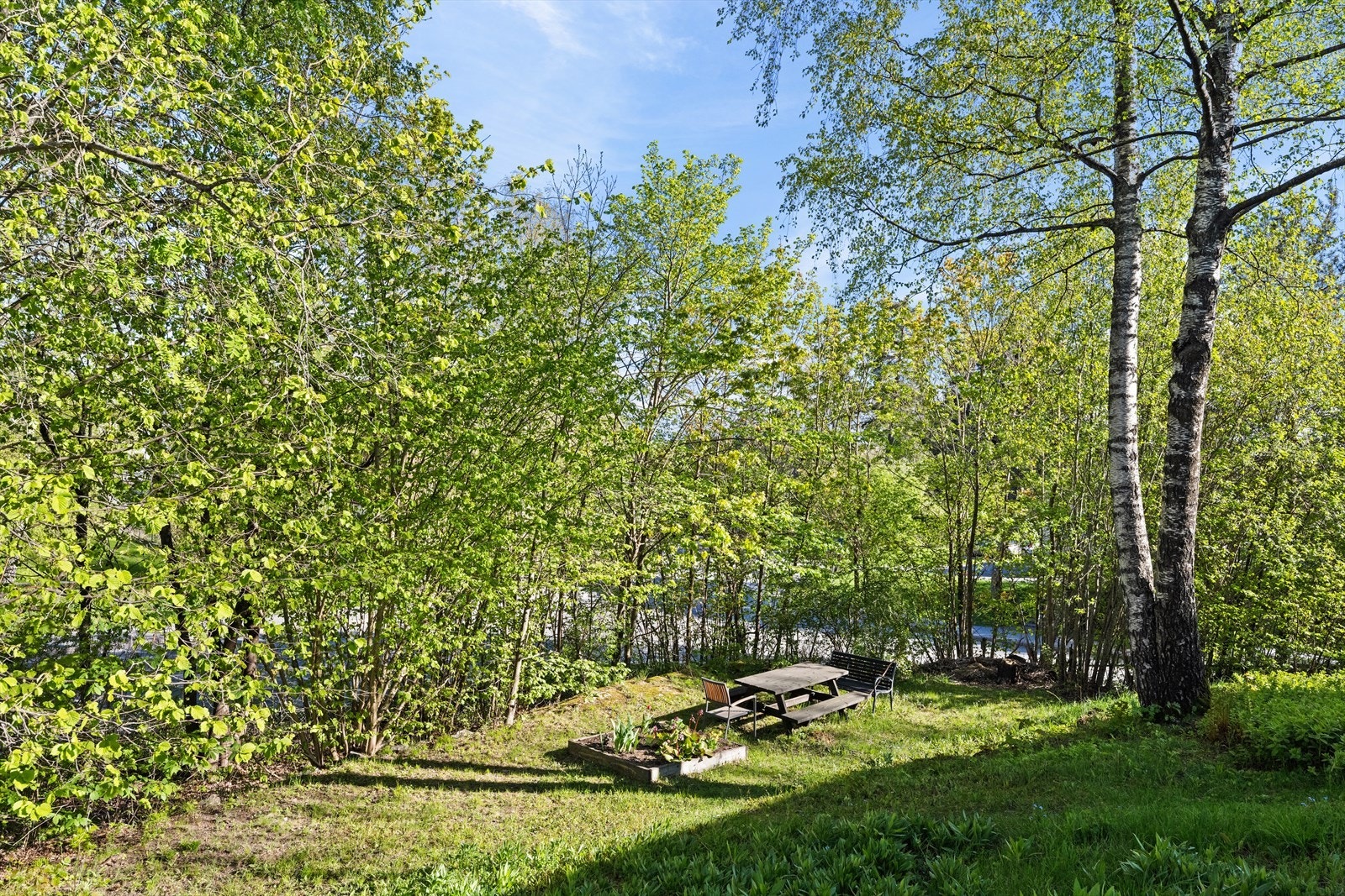 Fellesområder. Galleribilde
