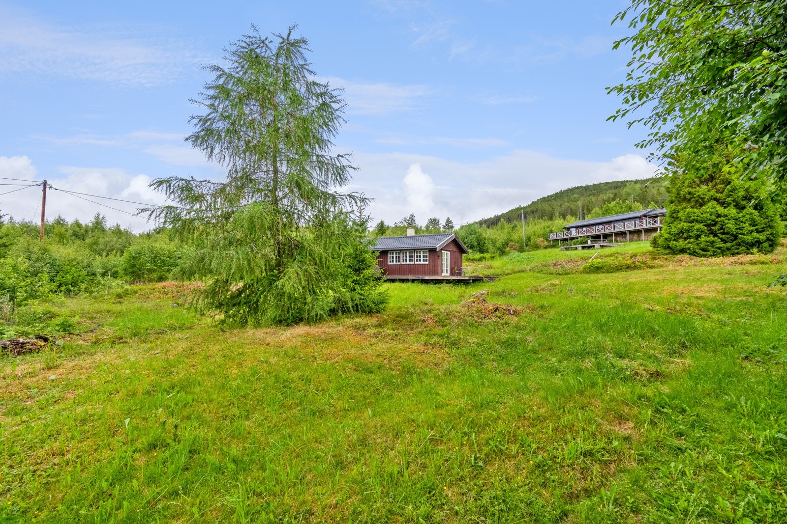 Velkommen til visning! Galleribilde