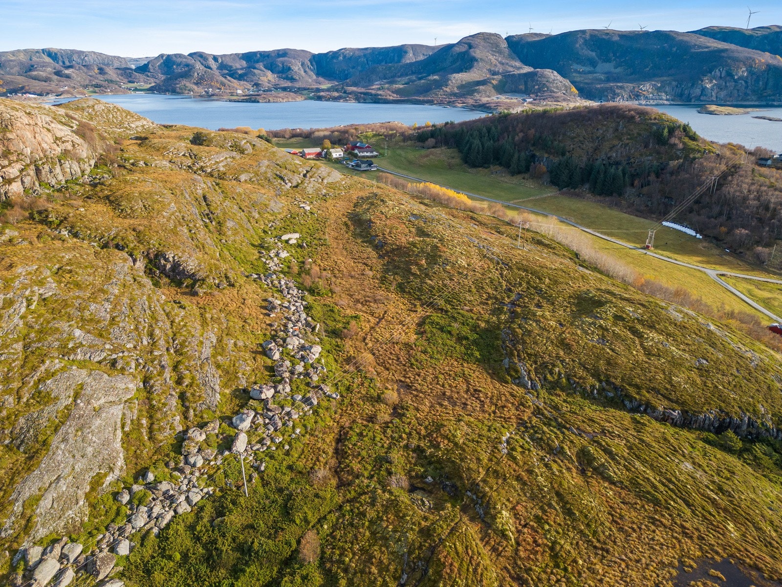 Nærområde Galleribilde