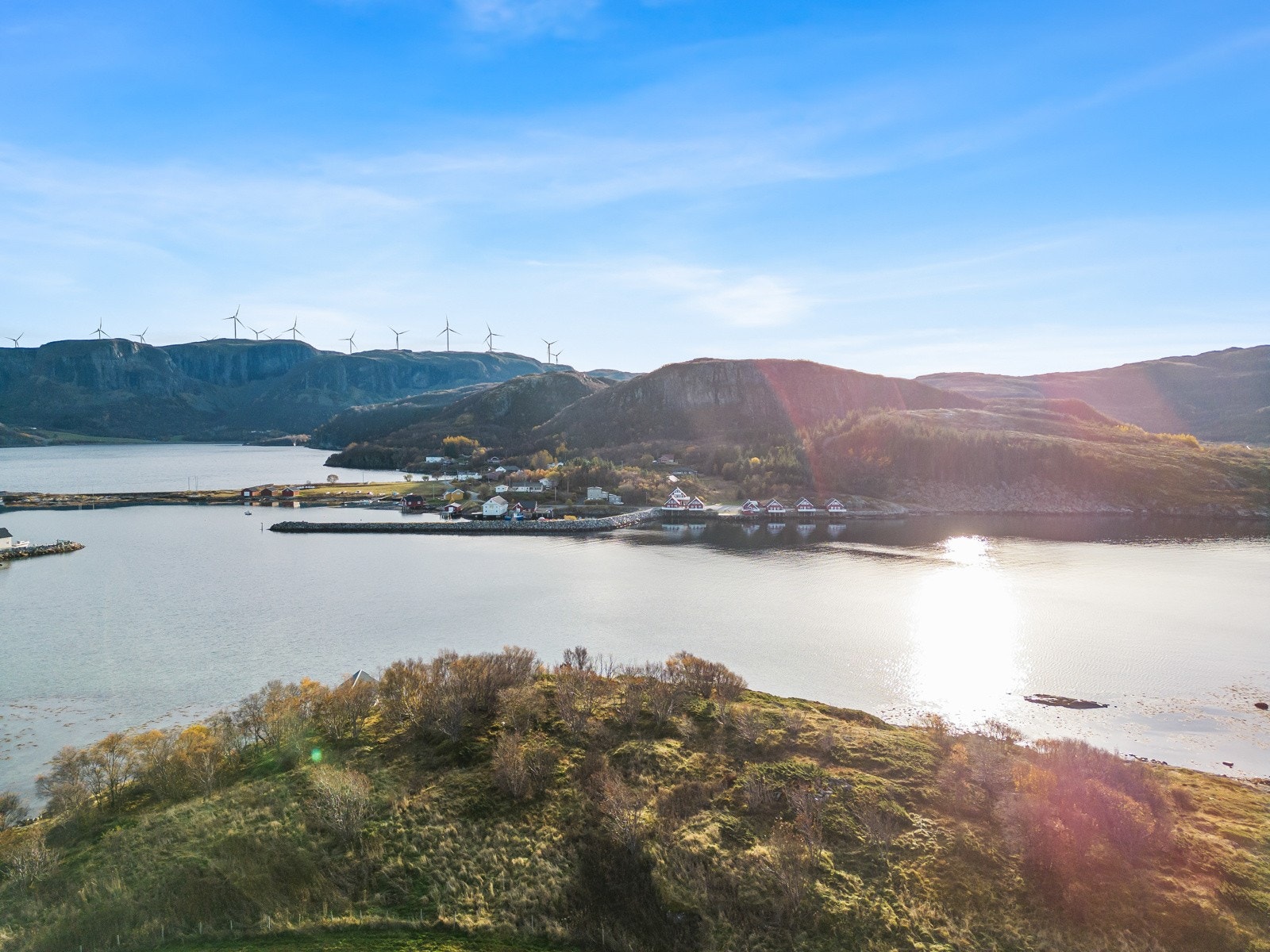 Nærområde Galleribilde