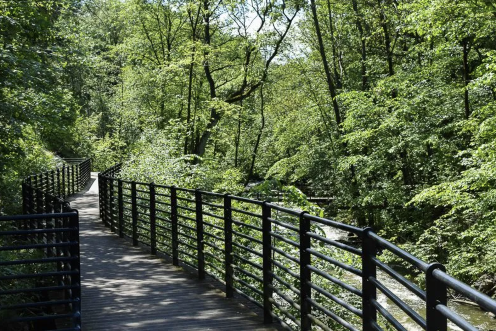 Fine turstier langs Alnaelva gjennom byen til Lillomarka. Galleribilde