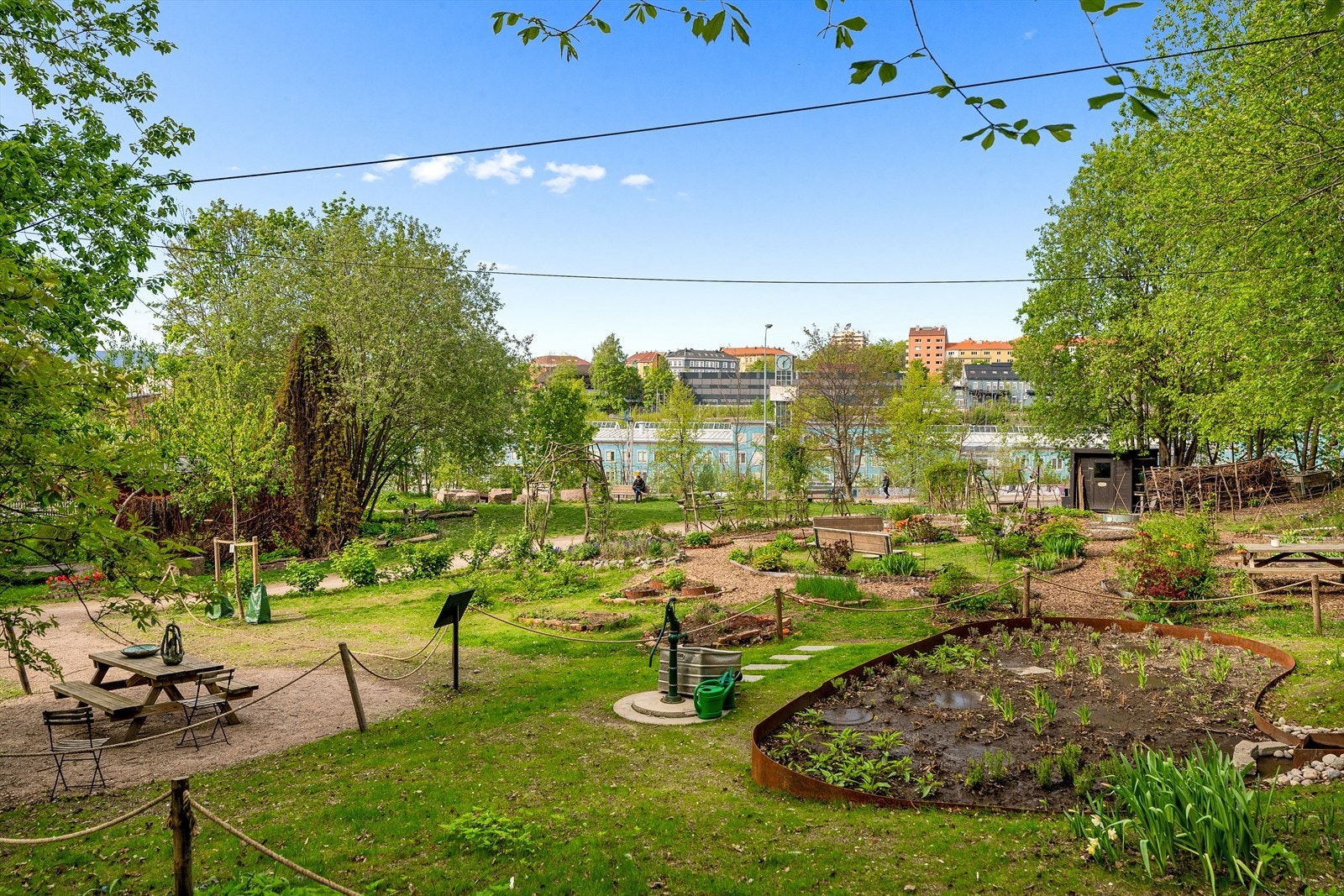 Felleshage. Galleribilde