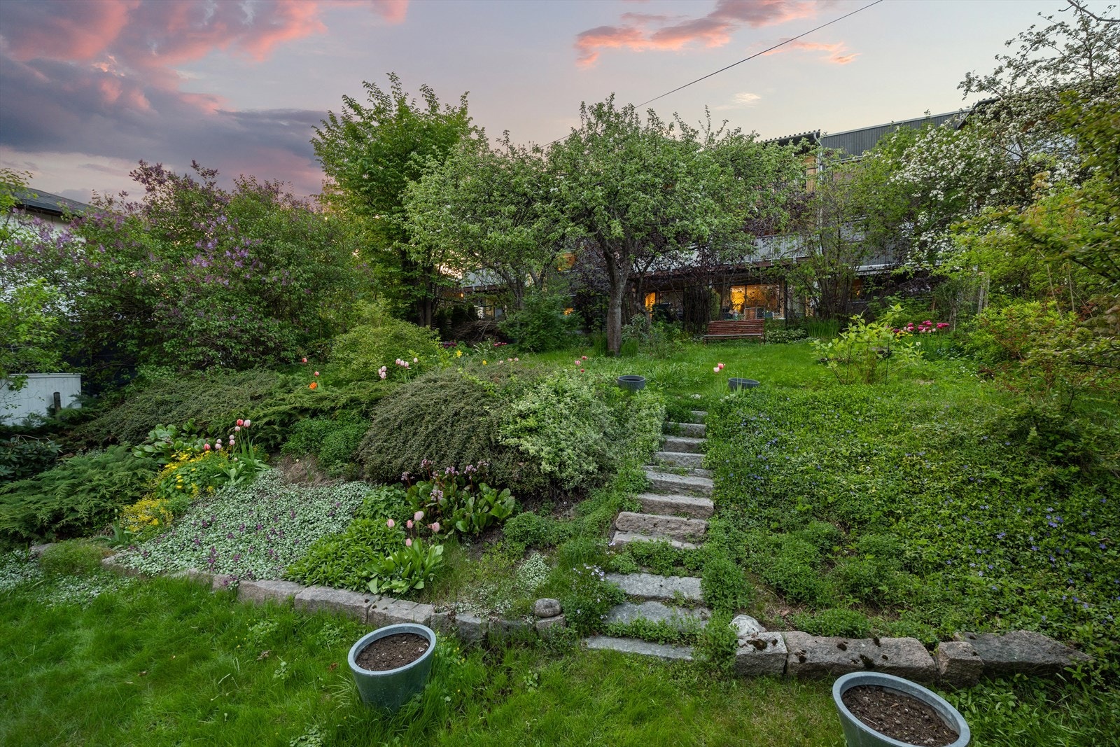 Nydelig gressarealer hvor du kan nyte kveldssolen Galleribilde