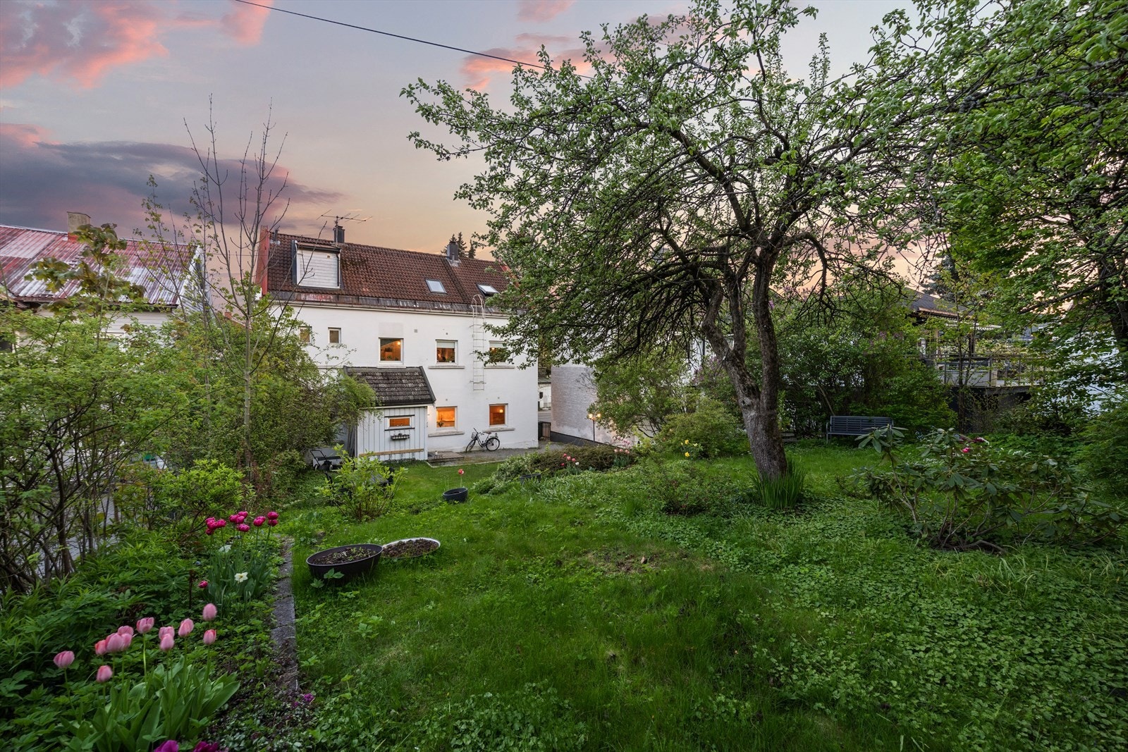 Sameiet har en koselig hage med diverse beplantning og prydbusker Galleribilde