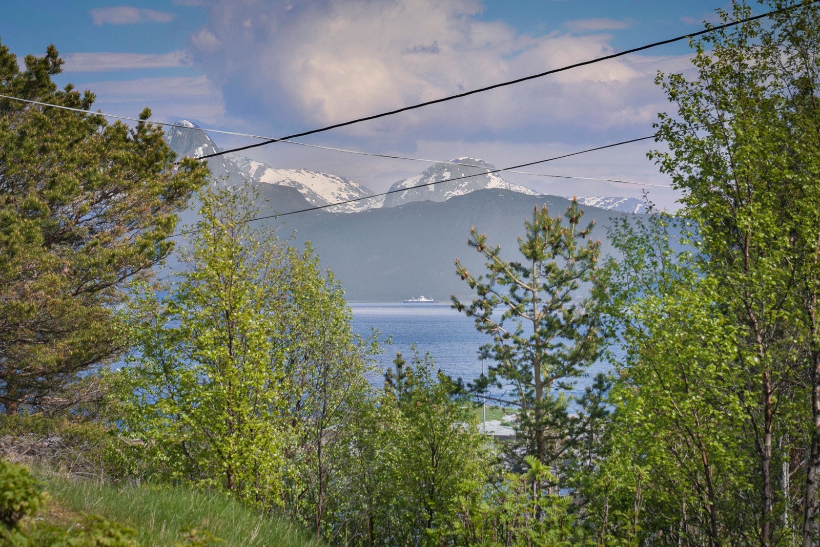 Utsikt fra terrassen. Galleribilde