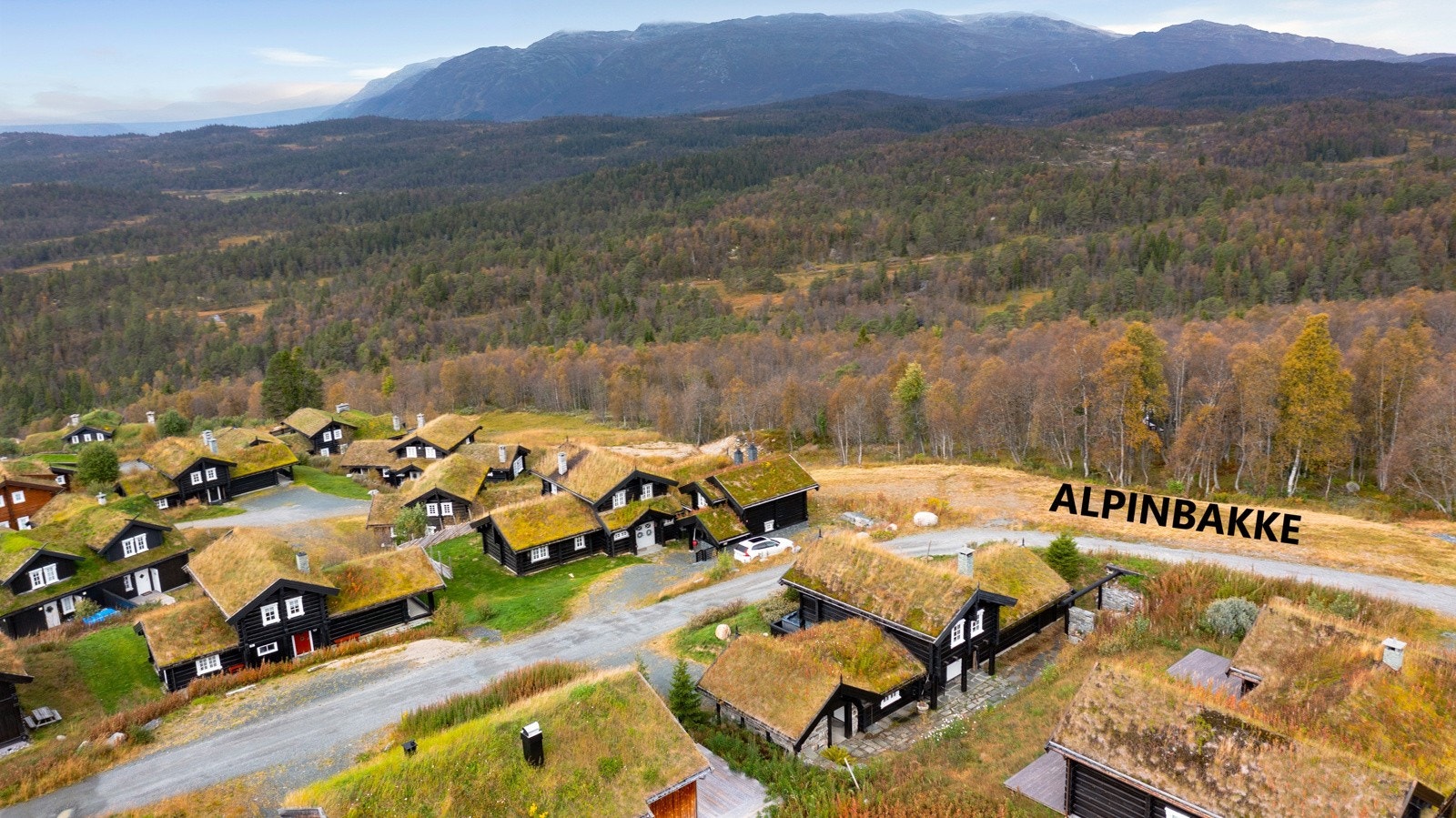 Alpinbakken til høyre i bildet Galleribilde