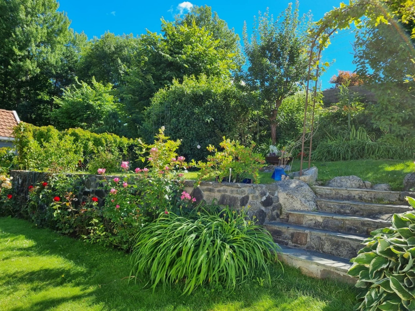 Selgers egne bilder av hagen på sommeren. Galleribilde