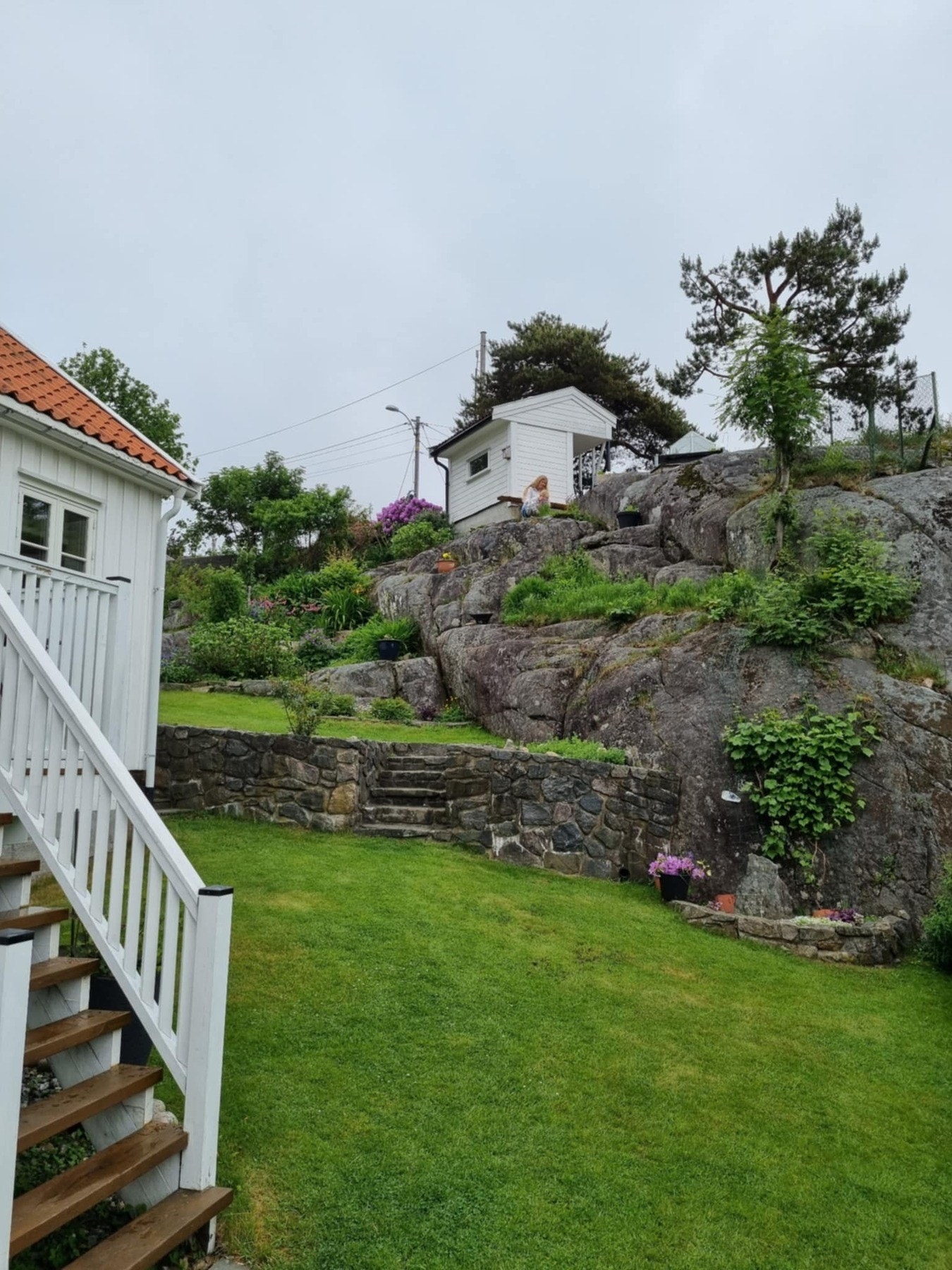 Selgers egne bilder av hagen på sommeren. Galleribilde