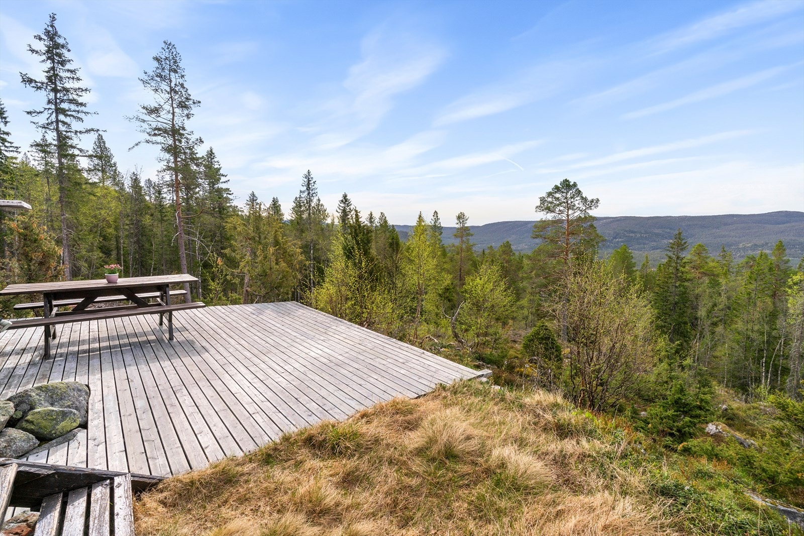 Usjenert i fremste rekke. Finn hvilepulsen i skogens ro. Galleribilde
