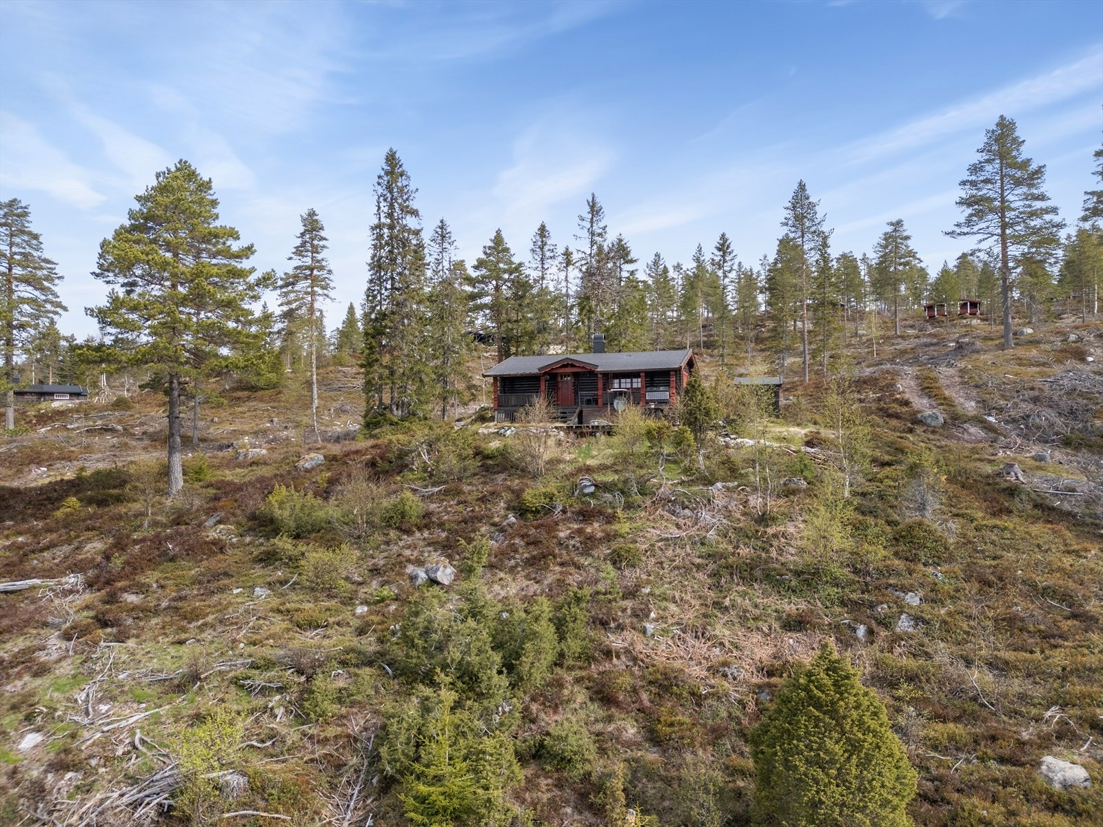 Det er rydda for skaug rundt hytta, og beliggenheten oppleves som luftig og lys. Galleribilde