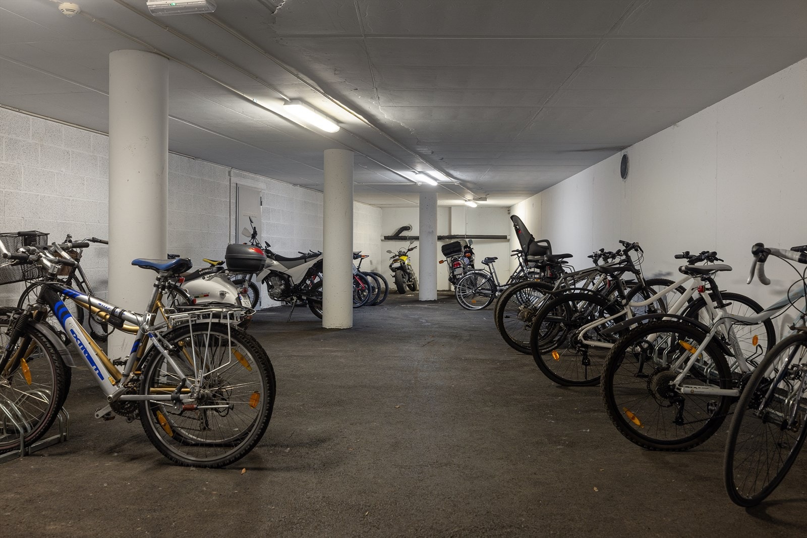 Felles sykkebod. Galleribilde