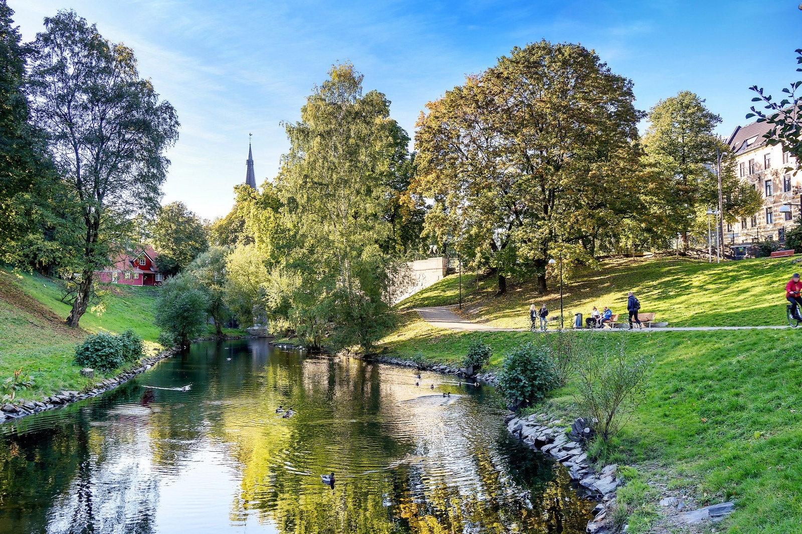 Kort vei til flotte, grønne lunger. Galleribilde