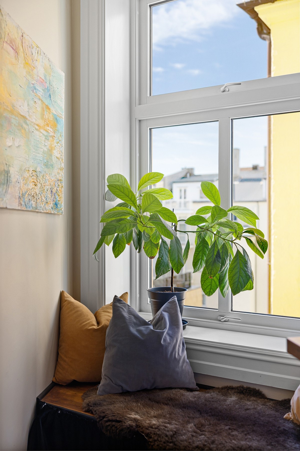 Hyggelig sittebenk ved vinduet. Galleribilde