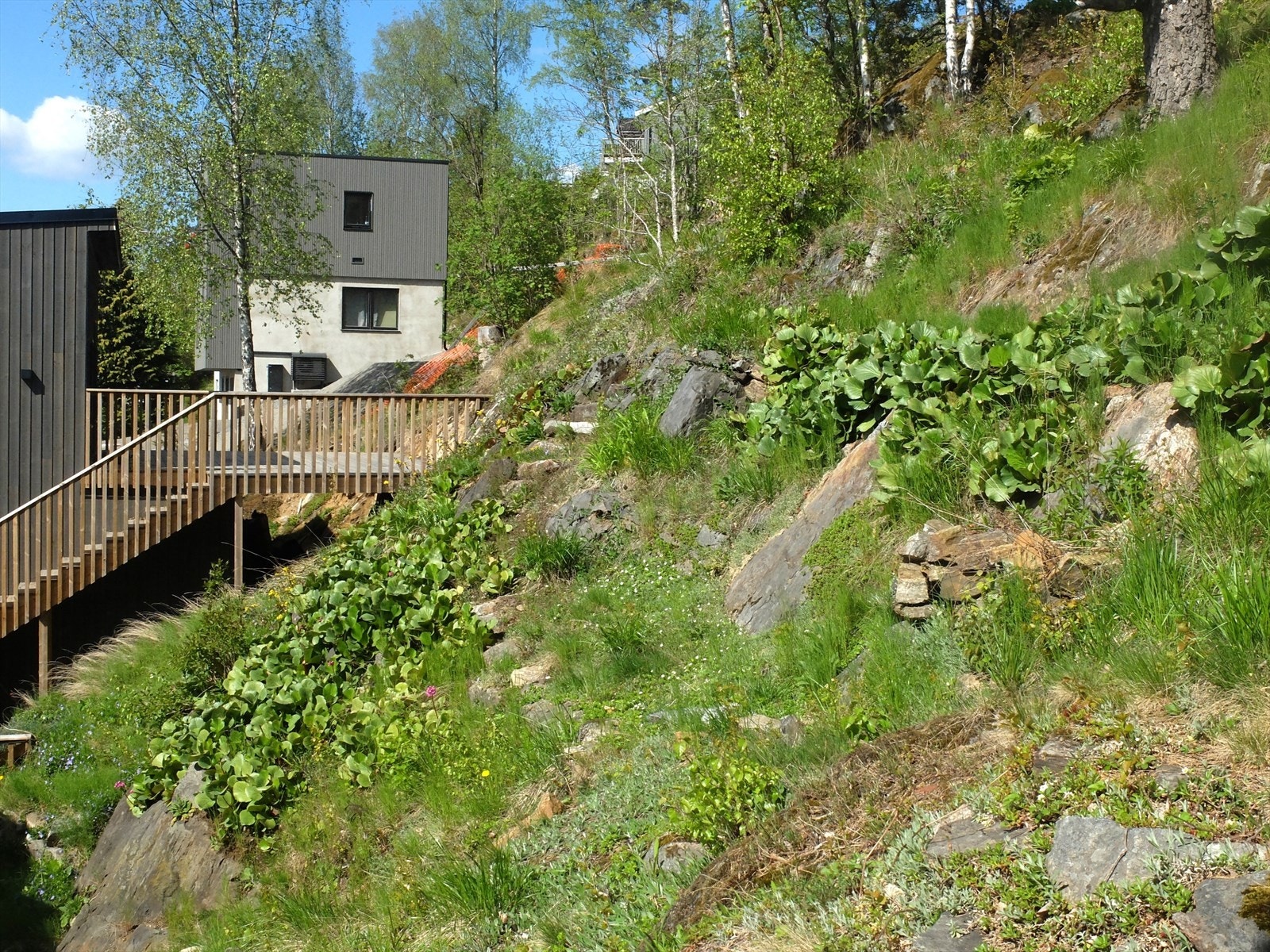 Mulighet for å opparbeide beplantning og sitteplass i skråning bak huset Galleribilde