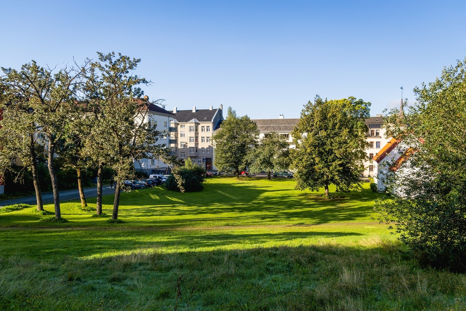 Bilde av Høyskoleparken i retning Klæbuveien 44 om sommeren. Galleribilde