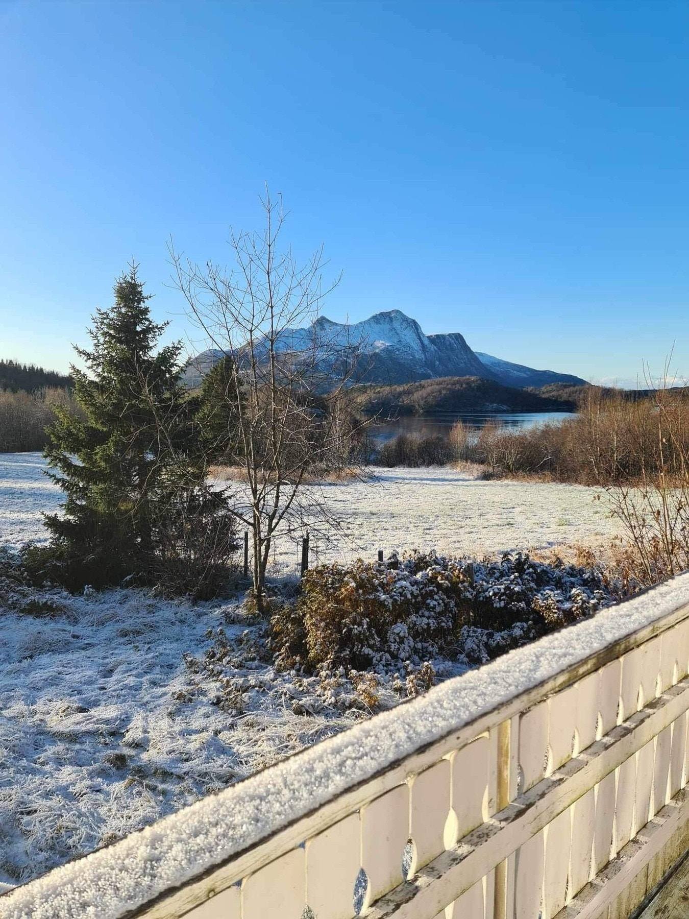 Uteområde Galleribilde