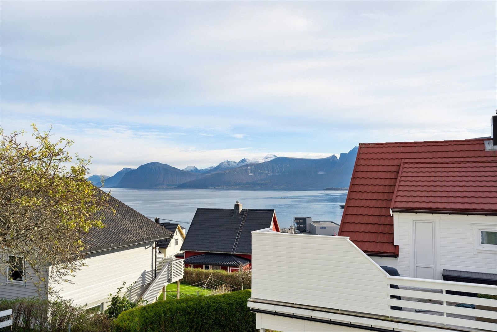 Nydelig utsikt. Galleribilde